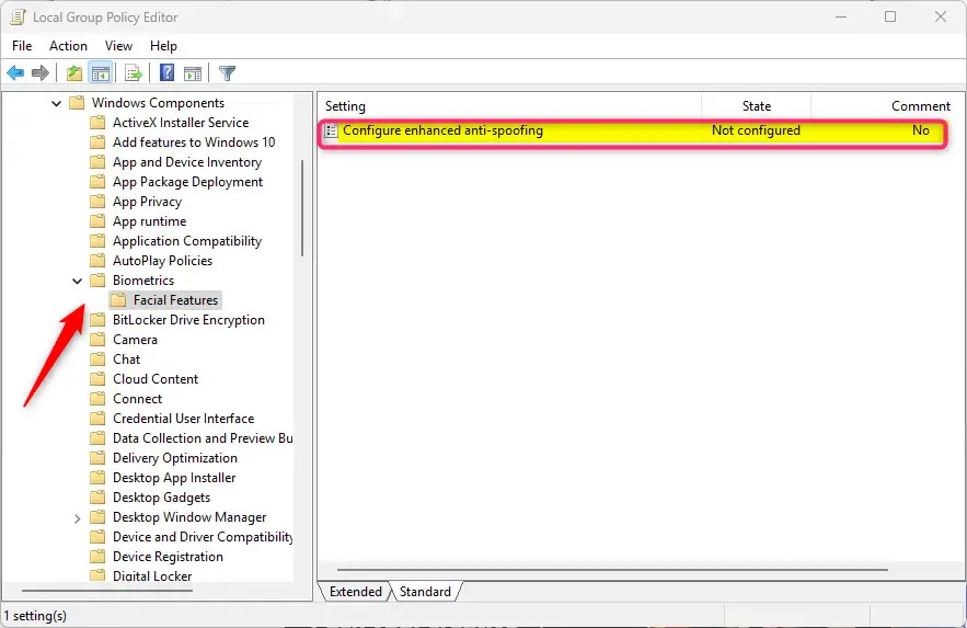 Group Policy Editor Windows 11