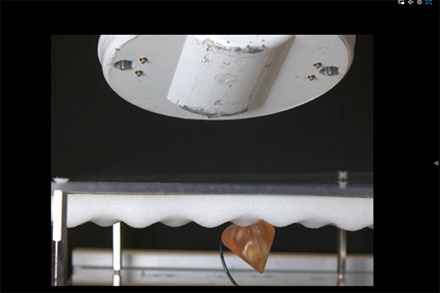 Nam châm bên ngoài điều khiển chuyển động của robot bên trong cơ thể.