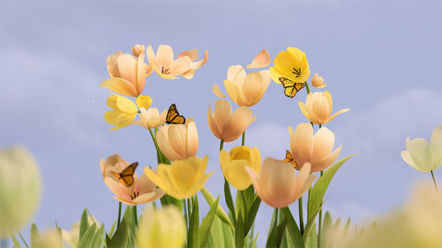 Hình nền tuyệt đẹp kỷ niệm sinh nhật 50 năm Microsoft