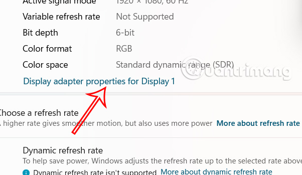 Display adapter properties for Display 1