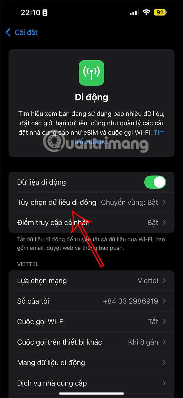 Kết nối dữ liệu di động iPhone