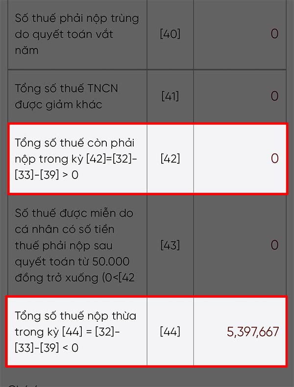 Thông tin dư nợ thuế TNCN
