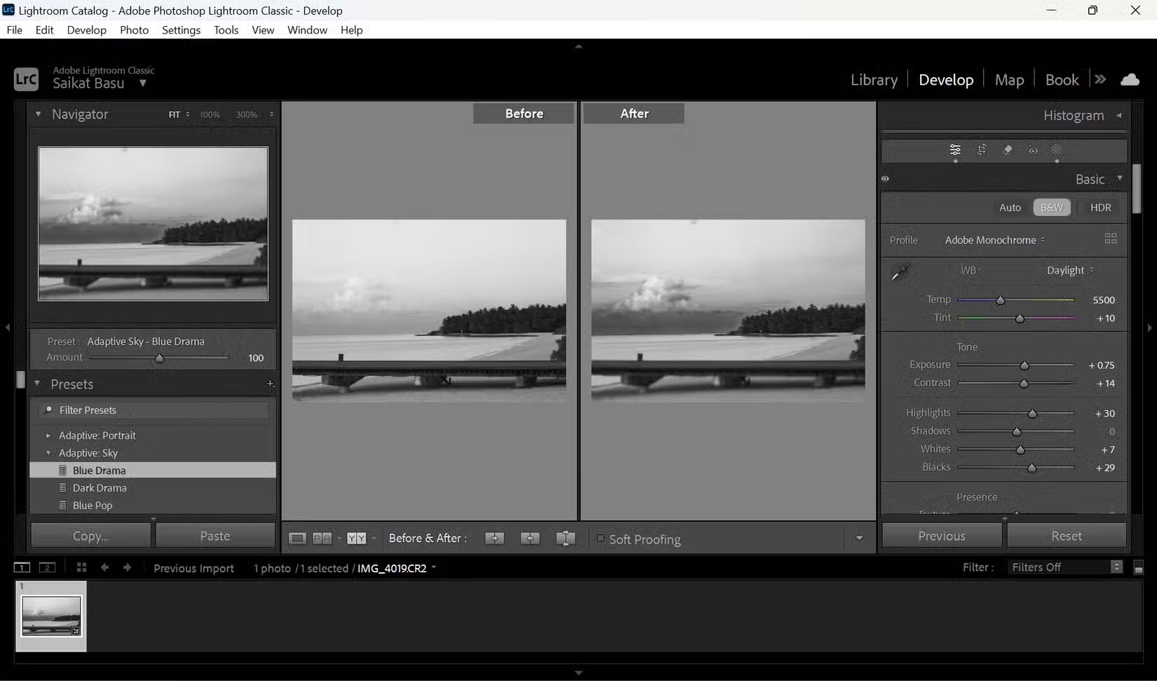 Chế độ xem trước và sau của ảnh trong Lightroom sau khi áp dụng bộ lọc