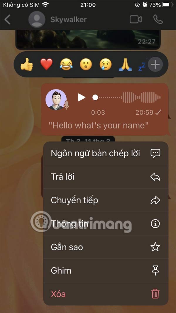 Tùy chọn tin nhắn thoại WhatsApp