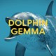 Google ra mắt DolphinGemma - Mô hình ngôn ngữ lớn mới hỗ trợ giải mã giao tiếp của cá heo