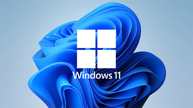  Windows 11 