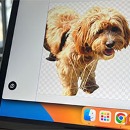 🖼️
