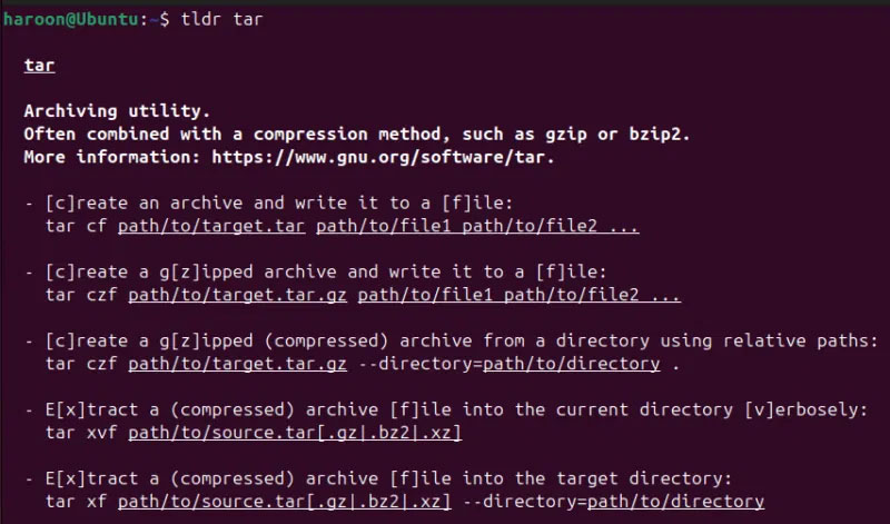 Hiển thị tài liệu Tar bằng công cụ dòng lệnh Tldr trong Linux Terminal.