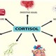 Dấu hiệu cảnh báo cortisol cao và cách khắc phục