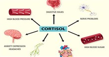 Dấu hiệu cảnh báo cortisol cao và cách khắc phục