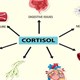 Dấu hiệu cảnh báo cortisol cao và cách khắc phục