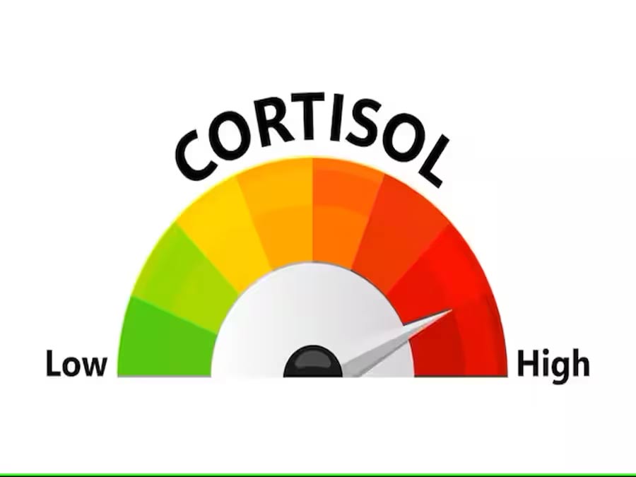 Cortisol cao