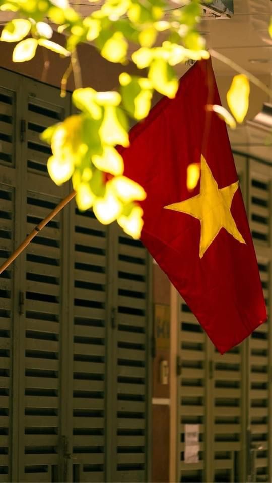 hinh nen quoc ky Viet Nam dep nhat