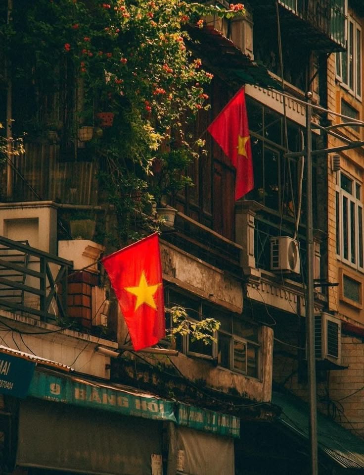 hinh nen quoc ky ip