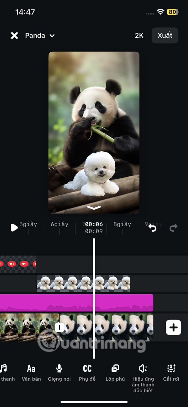 Hình ảnh chèn vào video