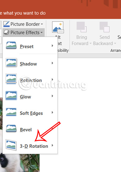 Chọn hiệu ứng cho ảnh trong PowerPoint
