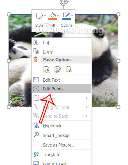 Tạo điểm chỉnh ảnh trong PowerPoint