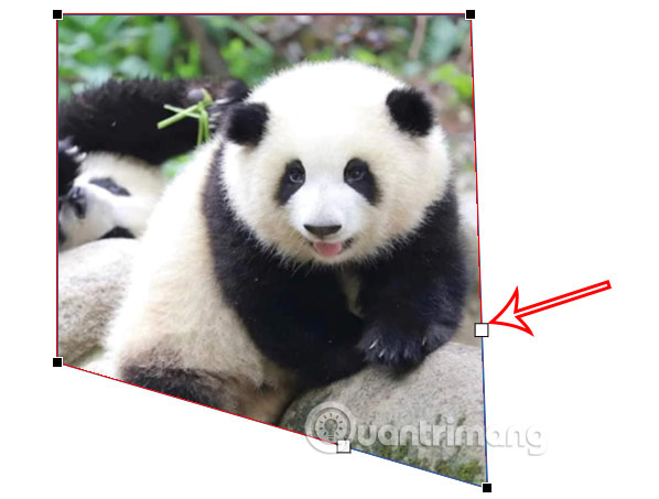 Chỉnh nghiêng ảnh trong PowerPoint