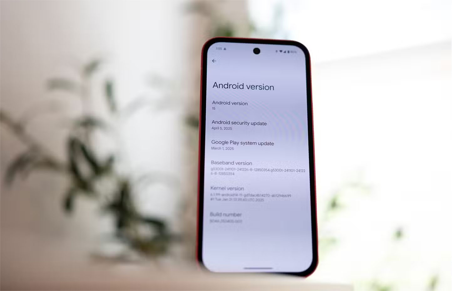 Menu cài đặt phiên bản Android trên Google Pixel 9a