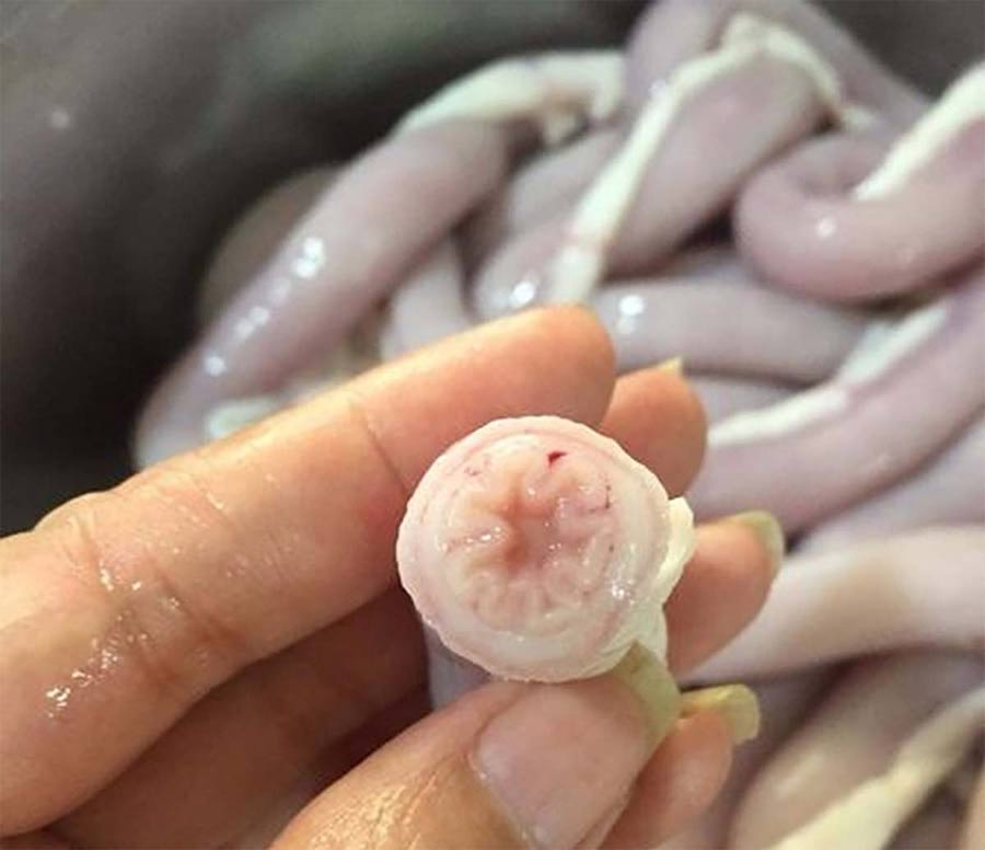 Cách chế biến lòng se điếu