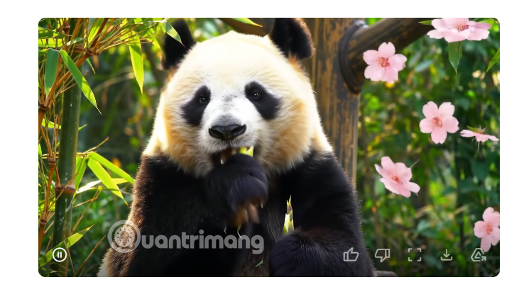 Video AI tạo trên Google Veo