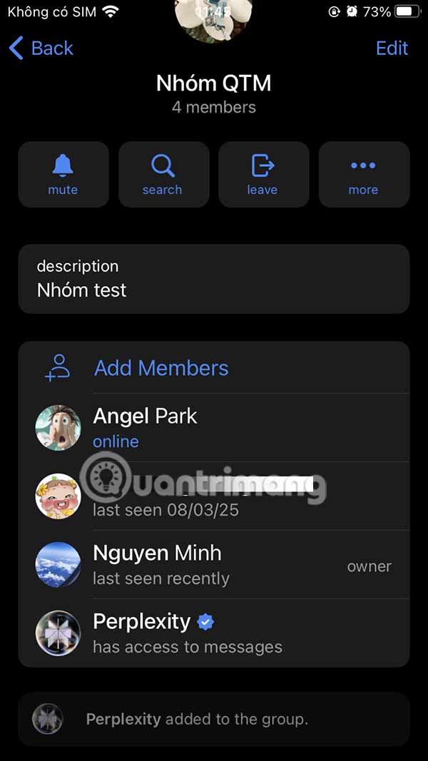 Perplexity Telegram nhóm chat