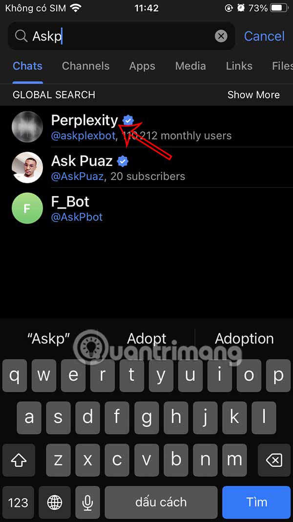 Tìm kiếm Perplexity Telegram