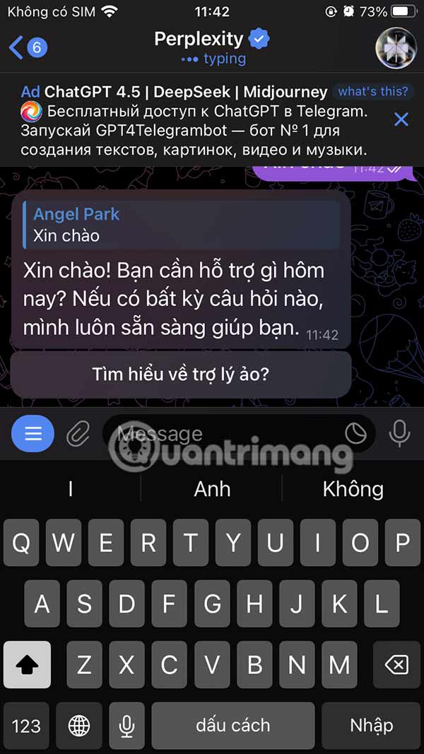 Gửi câu hỏi cho Perplexity Telegram