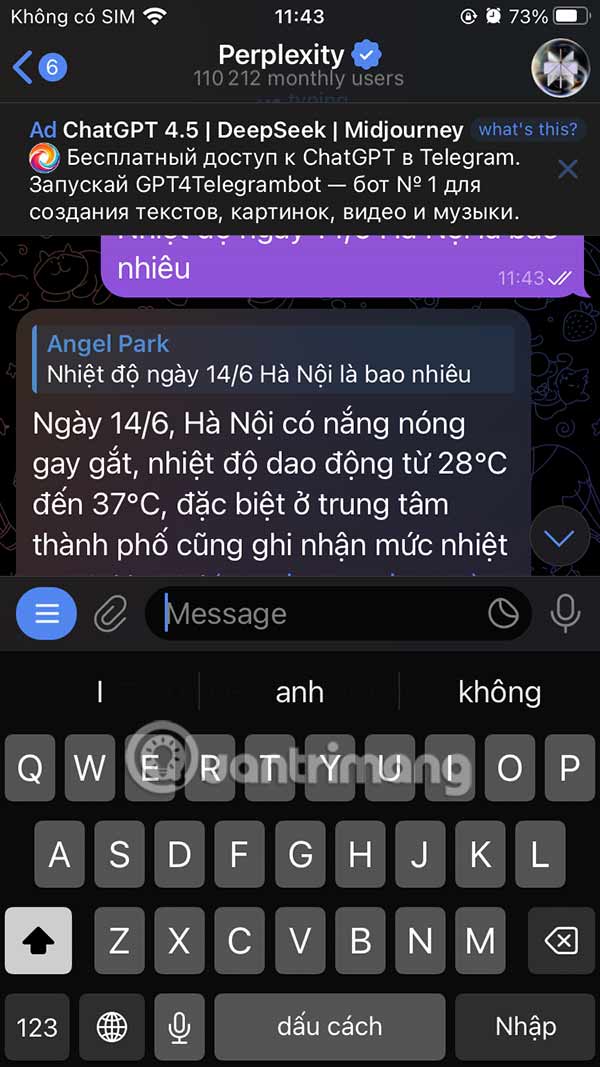 Nội dung phản hồi Perplexity Telegram