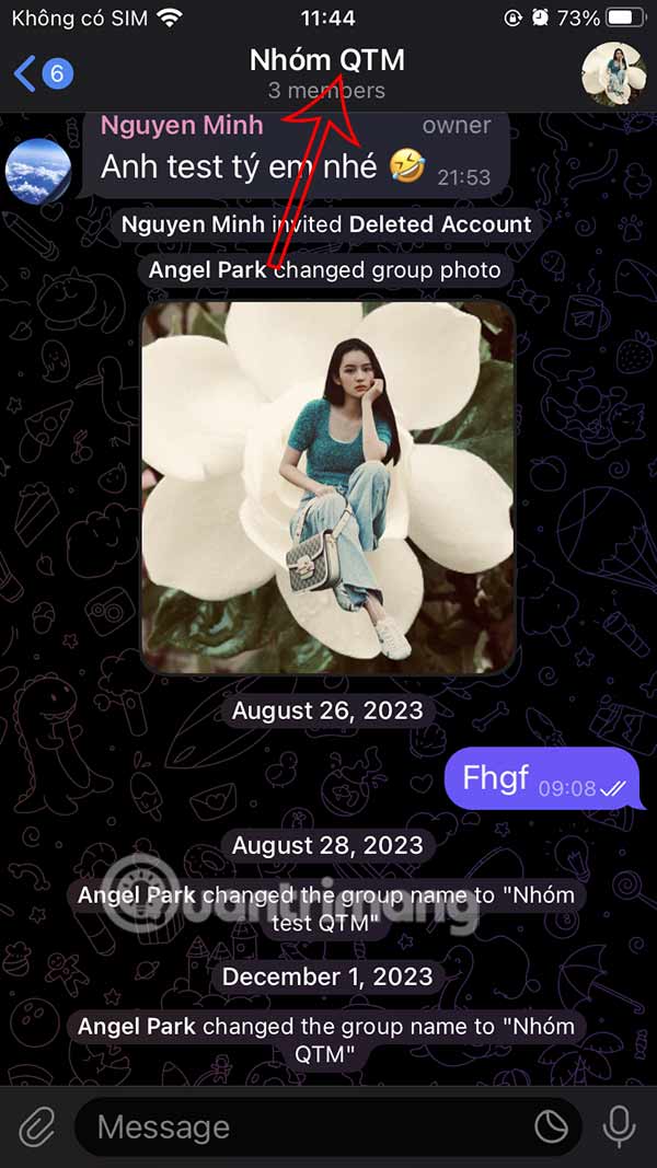 Nhóm chat Telegram