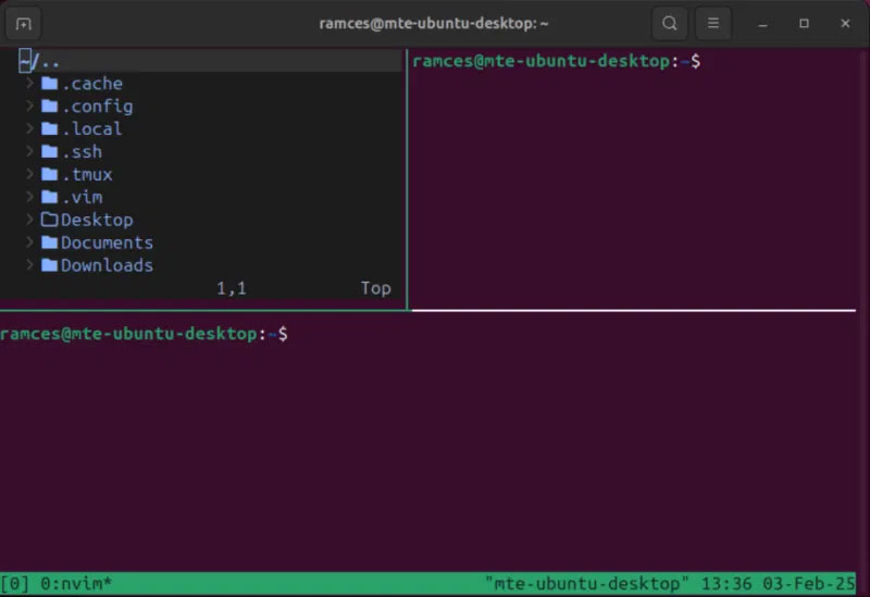 Plugin Treemux đang hoạt động trên từng ngăn riêng lẻ.