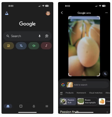 Sử dụng Google Lens trong ứng dụng Google dành cho iOS