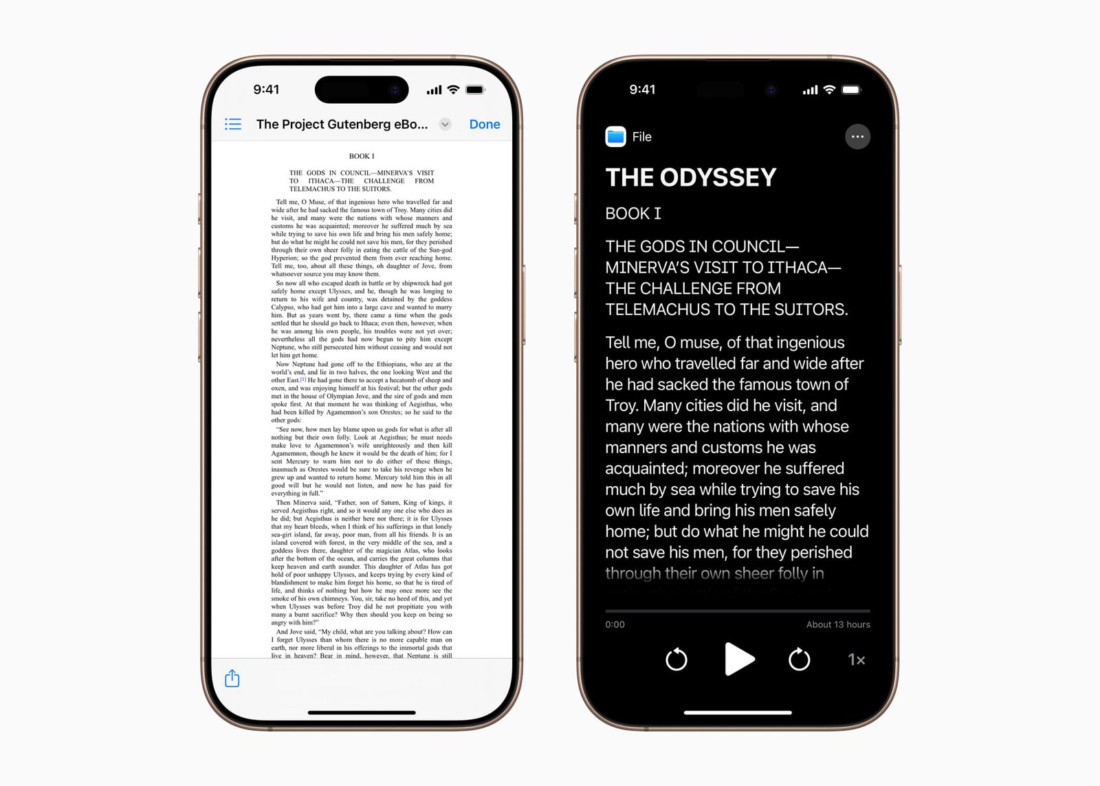 iOS Access Reader