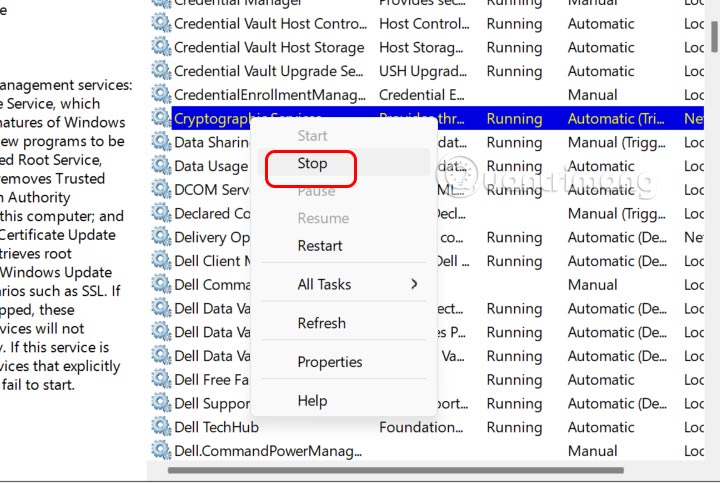 Dừng hoạt động cập nhật Windows 11