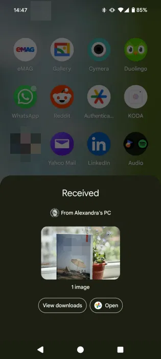 File đã nhận từ PC trên điện thoại Android bằng Quick Share.