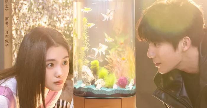 Poster Sa vào tình yêu cuồng nhiệt của chúng ta