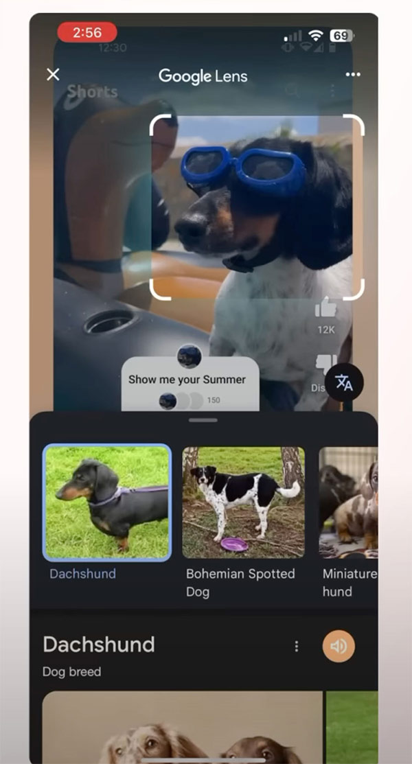 Google Lens trong YouTube Shorts