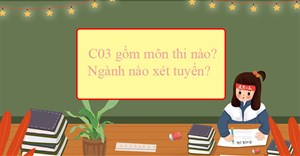 C03 gồm những môn nào, ngành nào?