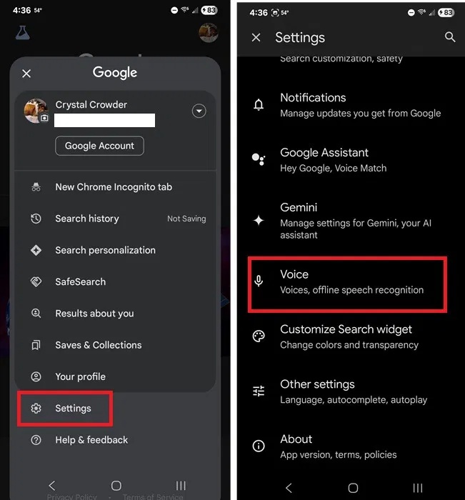 Chọn Voice trong cài đặt ứng dụng Google.