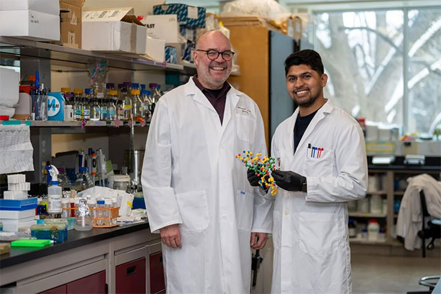 Nhà nghiên cứu Gerry Wright, bên trái, và tiến sĩ Manoj Jangra, đang cầm trên tay mô hình in 3D của lariocidin, loại kháng sinh mới mà họ cùng nhau khám phá ra.