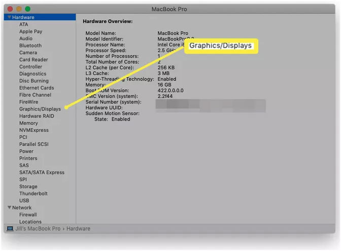 Phần System Report với tùy chọn Graphics/Displays