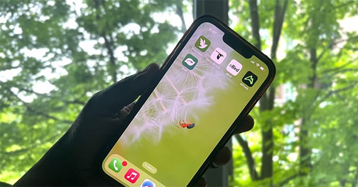 5 ứng dụng miễn phí giúp cải thiện chất lượng ảnh chụp thiên nhiên