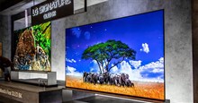 Tại sao không nên động tới chế độ bảo trì tích hợp trên TV OLED?
