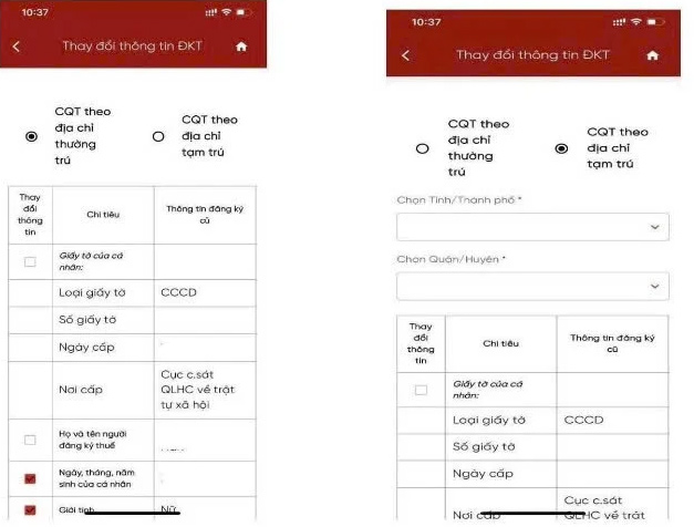 Nhập số CCCD cho MST