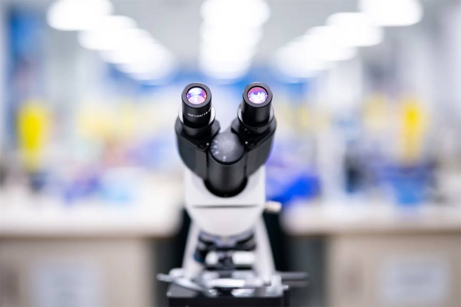 Phát hiện sinh vật tồn tại giữa sự sống và không phải sự sống