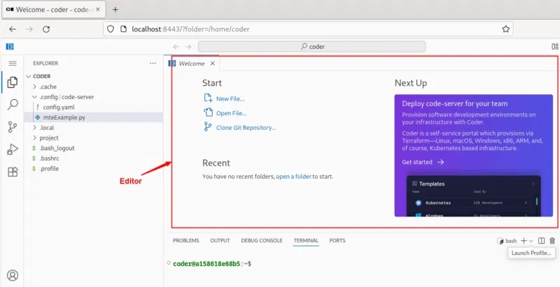 Code Editor