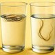 Những dấu hiệu cho thấy cơ thể đang âm thầm kêu cứu