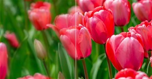 8 công cụ nâng cấp hình ảnh AI miễn phí