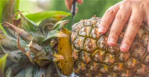 Cách gọt dứa nhanh nhất