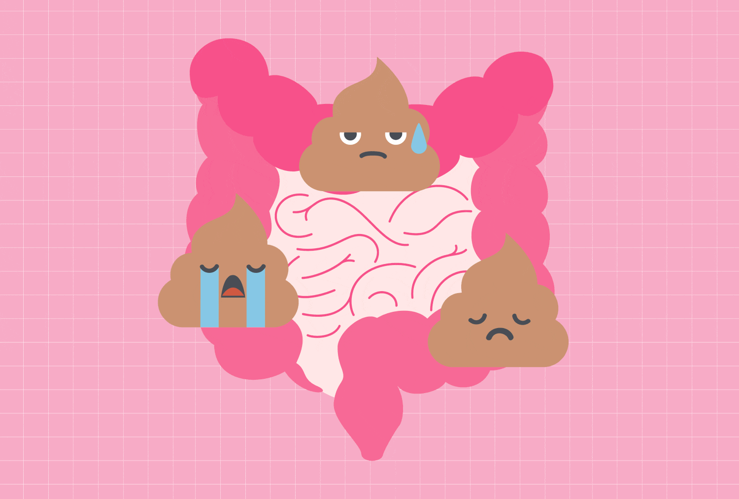 Hoạt động của hệ đường ruột